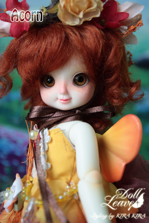 acorn6