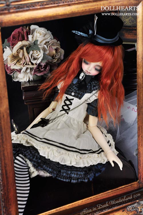 alicedream