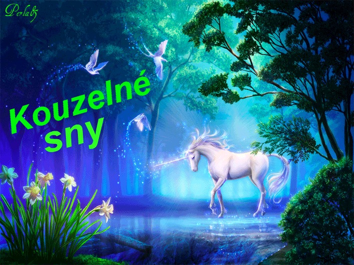 204c392ffc_79880782_o2